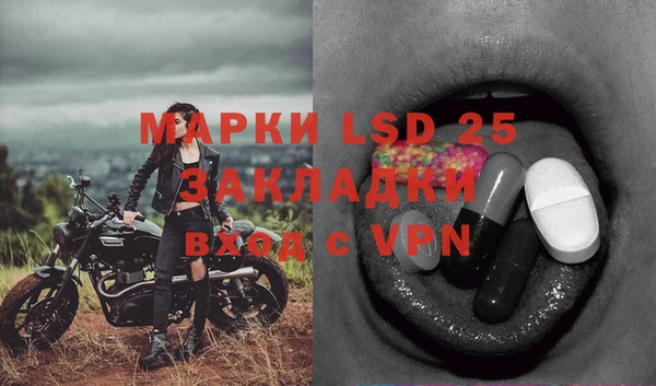 apvp Лиски