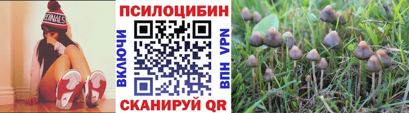 Псилоцибиновые грибы MAGIC MUSHROOMS мориарти формула Новороссийск что такое наркотик omg зеркало