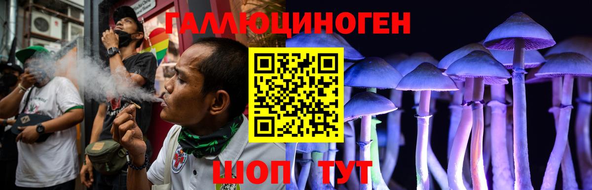 Галлюциногенные грибы Psilocybine cubensis Новороссийск